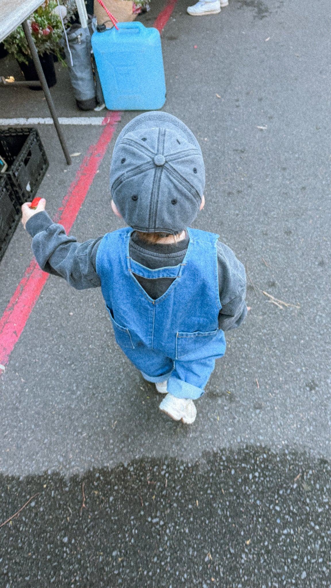 Painters Overalls.