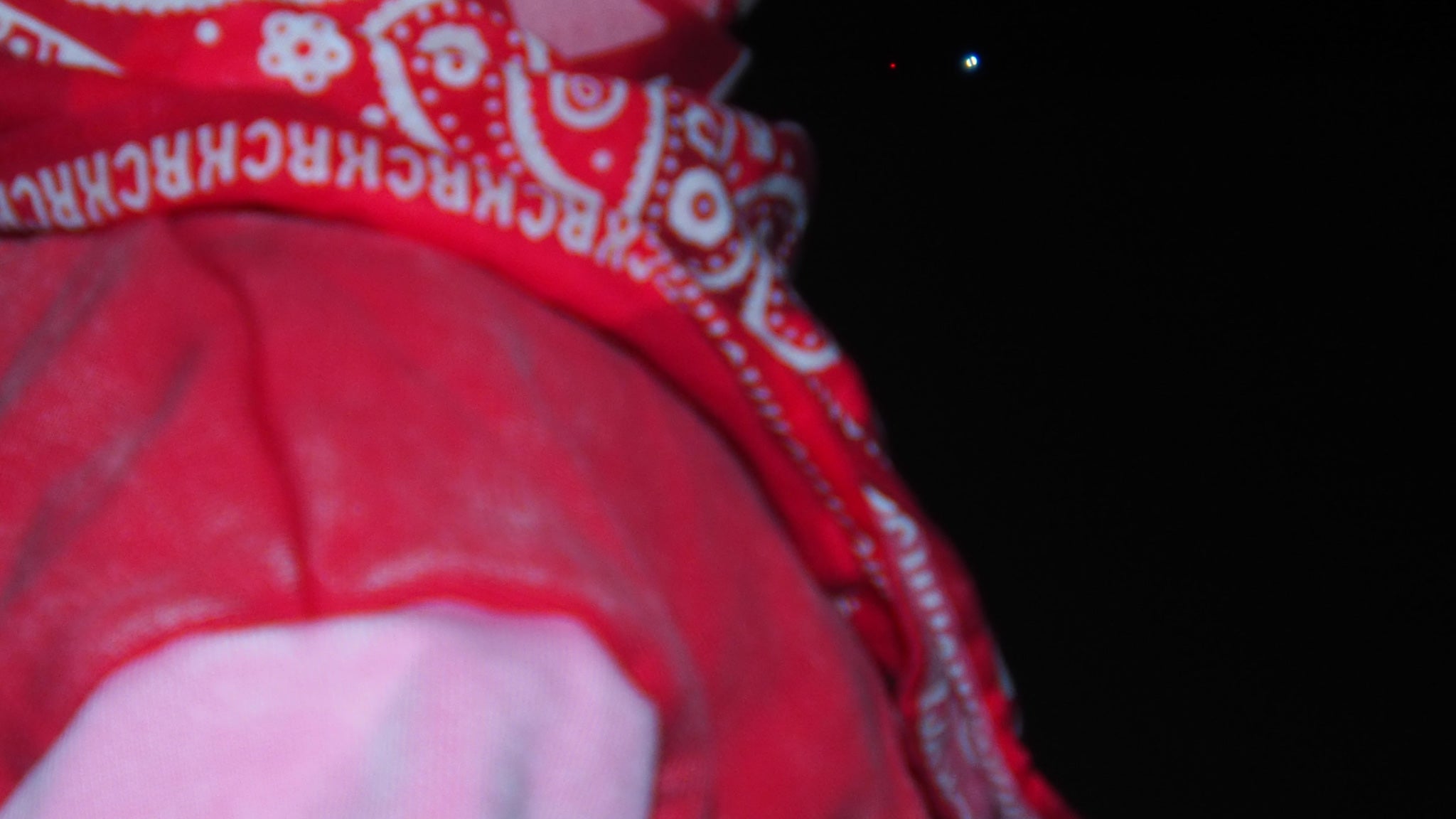 Camo Bandana.